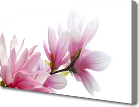 Obraz na płótnie Subtelny Kwiat Magnolii