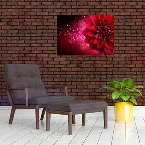 Obraz czerwonego kwiatu (70x50 cm)