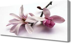 Zdjęcie na płótnie Delikatność Natury: Kwiat