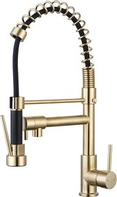 Big Pro Bateria zlewozmywakowa prysznic ręczny szczotkowane złoto - Essebagno