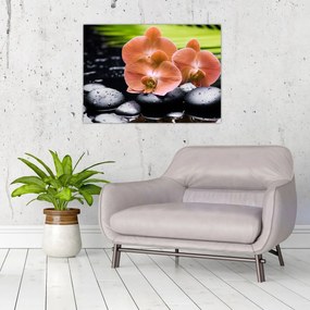Obraz - Pomarańczowa orchidea z liśćmi palmy (70x50 cm)