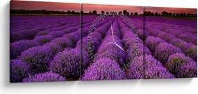 Obraz - Pole lawendy (z zegarem) (90x30 cm)