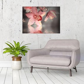 Obraz - Kwiaty i motyl (70x50 cm)