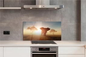 Panel szklany do Kuchni Słoń o Wschodzie Słońca na Sawannie