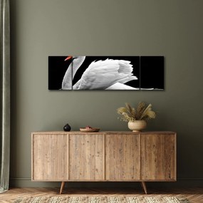 Obraz czarno - białego łabędzia (170x50 cm)
