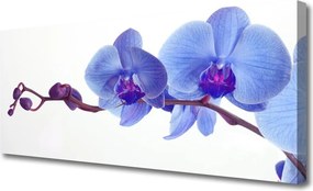 Obraz na płótnie Letnia Kompozycja Kwiatowa