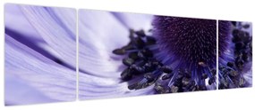 Obraz - Fioletowy kwiat (170x50 cm)