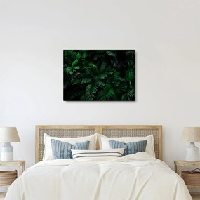 Obraz - Paprocie tropikalne (70x50 cm)