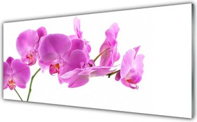 Panel Kuchenny Ogród Kwiatowy W Pełni Lata