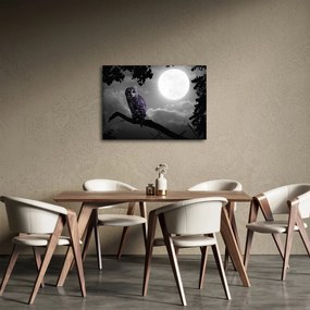 Obraz - Nocna sowa, fioletowa sowa (70x50 cm)