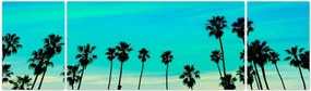 Obraz - Kalifornia (170x50 cm)