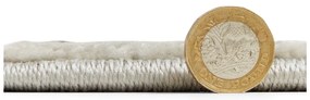 Jasnoszary dywan 120x170 cm Elio Silver – Think Rugs