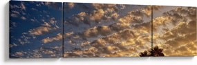 Obraz - palmy pośród chmur (170x50 cm)