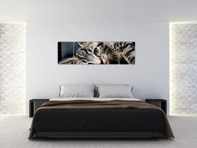 Obraz - Kotek (170x50 cm)