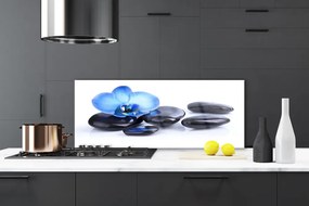 Panel Kuchenny Kwiatowa Harmonia na Kamieniach