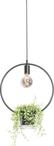 Nowoczesna lampa wisząca czarna ze szklaną okrągłą - Roslini