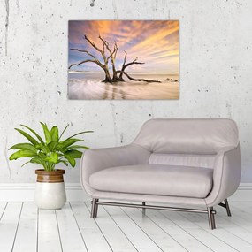 Obraz drzewa w oceanie (70x50 cm)