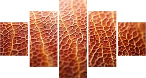 Obraz - Szczegóły tekstury (125x70 cm)