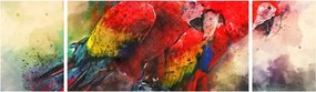 Obraz czerwonych papug Ara (170x50 cm)
