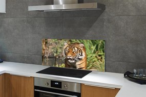 Panel szklany do Kuchni Tygrys na Leśnej Ścieżce