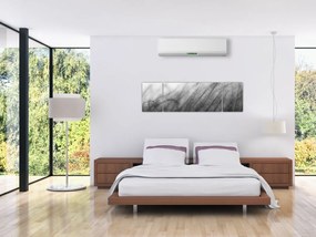 Obraz - Trawa na wietrze (170x50 cm)