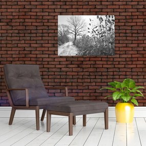 Obraz - Pola w zimie (70x50 cm)