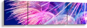 Obraz - Makro (170x50 cm)