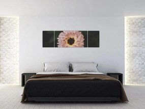 Obraz pomarańczowego kwiatu (170x50 cm)