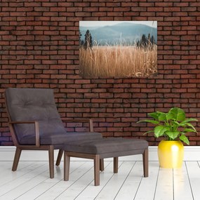 Obraz na szkle - szczegół łąki (70x50 cm)