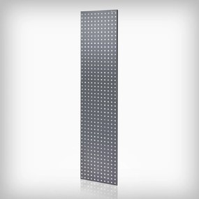 Tablica perforowana do regału: 2 sztuki antracytowa, 1800x20x420 mm: JOHNNY
