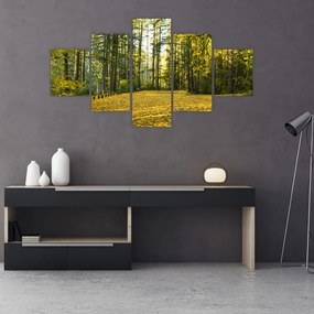 Obraz - las jesienią (125x70 cm)