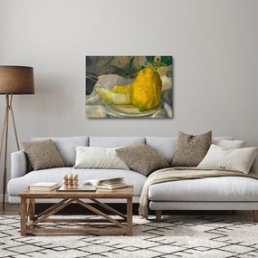Obraz - French 19th Century, Melon and Lemon, reprodukcje (70x50 cm)