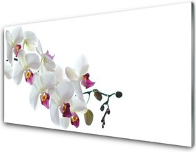 Szkło do Kuchni na Ścianę Rajski Ogród Kwiatowy