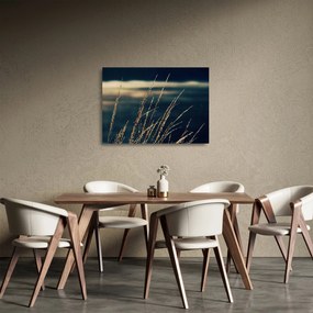 Obraz na szkle traw (70x50 cm)