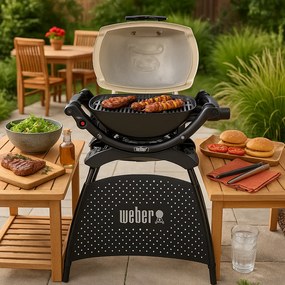 Grill gazowy Q1000 ze stojakiem WEBER 50060375