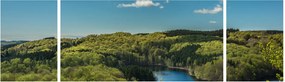 Obraz - Jezioro w lesie (170x50 cm)