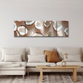 Obraz - Kokosy (170x50 cm)