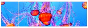 Obraz meduz w morzu (170x50 cm)