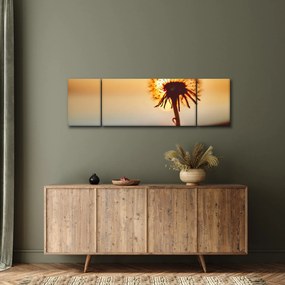 Obraz dmuchawca o zachodzie słońca (170x50 cm)