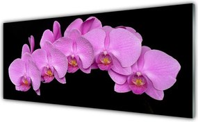 Panel Kuchenny Rozkwitająca Łąka Ścienna