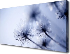 Obraz canvas Ulotny Dmuchawiec na Wietrze