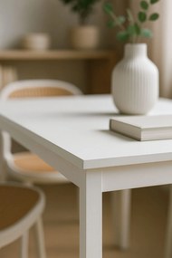 Stó Prostoktny Dino 120x75 cm