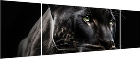 Obraz - Czarna Pantera (170x50 cm)