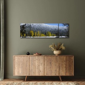 Obraz - ośnieżone góry zimą (170x50 cm)