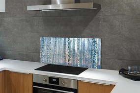 Panel szklany do Kuchni Las Brzozowy o Zmierzchu