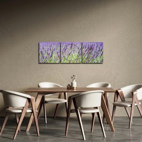 Obraz pola z lawendą (z zegarem) (90x30 cm)