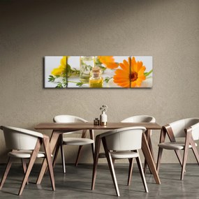 Obraz pomarańczowych kwiatów (170x50 cm)