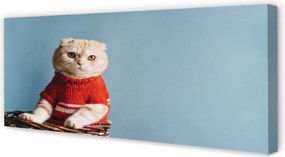 Fotoobraz na płótnie Portret Siedzącego Kota