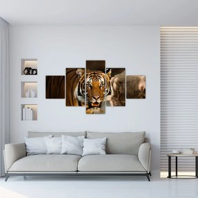 Obraz tygrysa (125x70 cm)