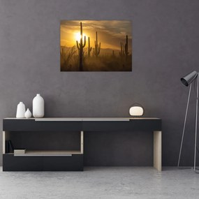 Obraz na szkle - Kaktusy Saguaro (70x50 cm)